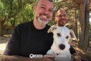 Apolo, Jose y Miguel