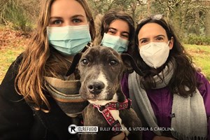 Bully, Elena, Victoria y Carolina