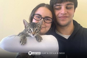 Flint, Cecilia y Diego