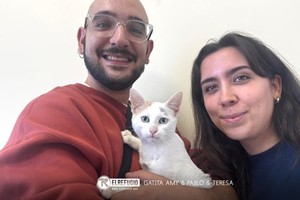 Gatita Amy, Pablo y Teresa
