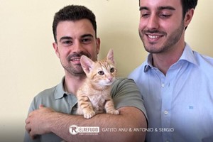 Gatito Anu, Antonio y Sergio