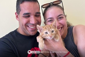 Gatito Kef, Brais y Victoria