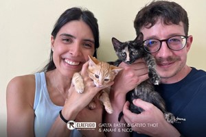 Gatita Basty, Gatito Thot, Anahí y Nico