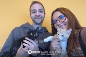 Gatitos Bimbo y Tola, Guillermo y Paula