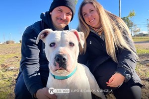 Lupsi, Carlos y Ángela