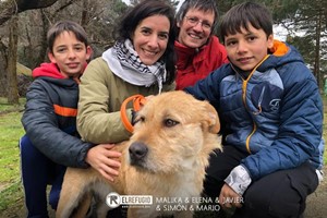 Malika, Elena, Javier, Simón y Mario