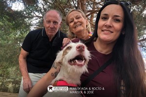 Perrita Ada, Rocío, Marisol y José