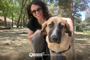 Perrita Afrodita y Alba