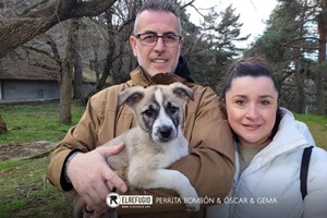 Perrita Bombón, Óscar y Gema