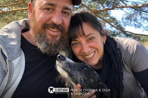 Perrita Chiwina, Olga y Salvador