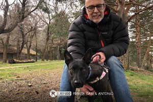 Perrita Gabi y Antonio