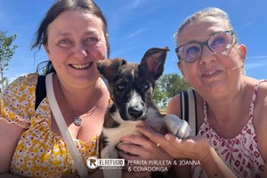 Perrita Piruleta, Joanna y Covadonga