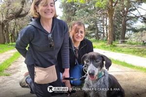 Perrita Tatanka, Ana y Carola