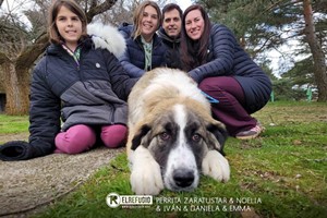 Perrita Zaratustra, Noelia, Iván, Daniela y Emma