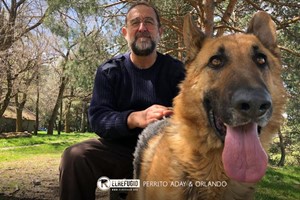 Perrito Aday y Orlando