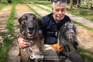 Perrito Bayo, Daniel y Perrita Menchu