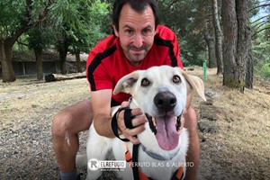 Perrito Blas y Alberto
