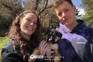 Perrito Coquito, Iara y Alberto