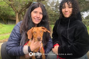 Perrito Dumbo, Elena y Anaïs