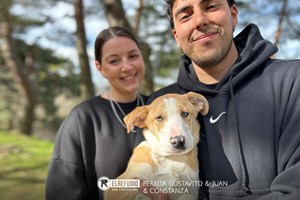 Perrito Gustavito, Juan y Constanza