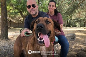 Perrito Horus, Bárbara y Carlos