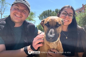 Perrito Mistic, Eugenio y Azul