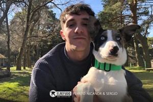 Perrito Nicanor y Sergio
