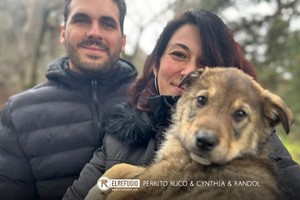 Perrito Ruco, Cynthia y Randol.