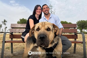 Perrito Tadeo, Ana y Adrián