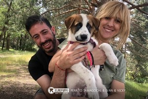 Perrito Tamagochi, Iván y Vicky