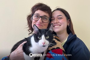 Gatito Yoru, Rosa y Miren