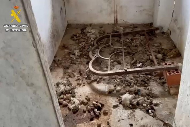 Maltratan a 75 perros. Somos acusación.