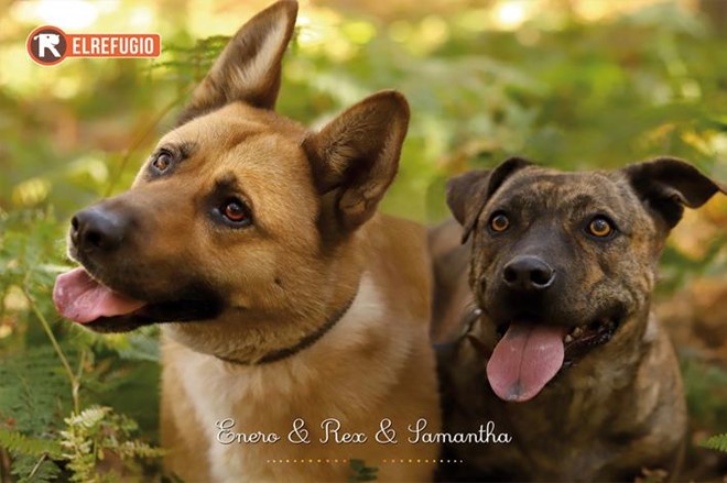 Lotería Navidad y Calendario 2026