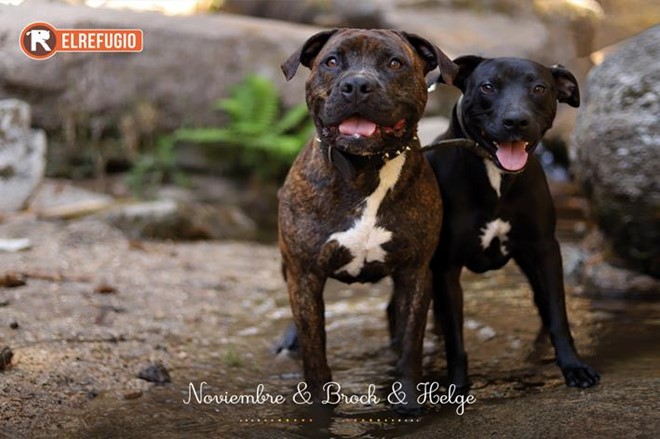 Lotería Navidad y Calendario 2026