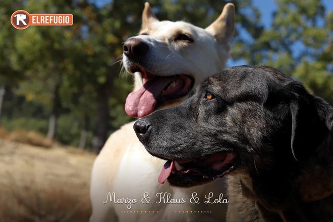 Lotería Navidad y Calendario 2026