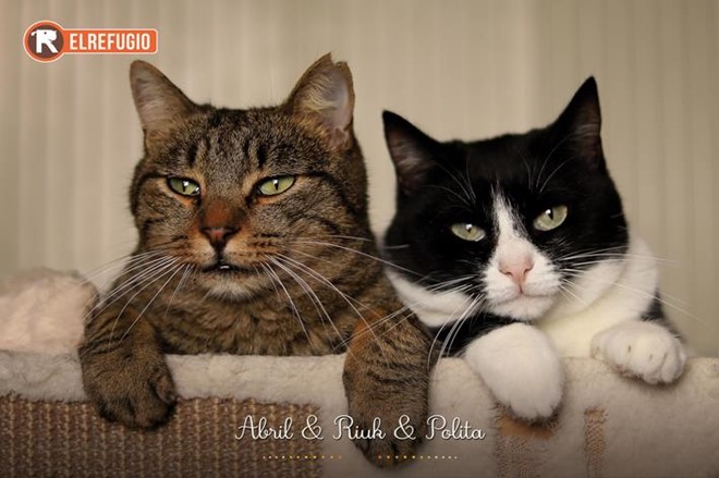 Lotería Navidad y Calendario 2026