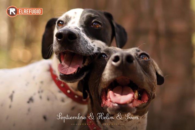 Lotería Navidad y Calendario 2026