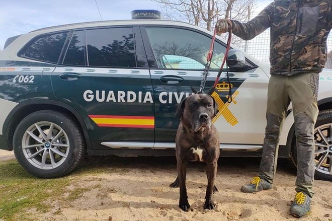 ¿Abandonar es maltratar?