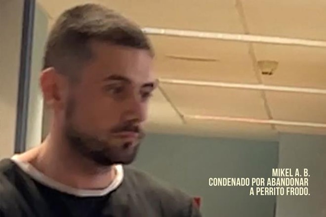 ¿Abandonar es maltratar?