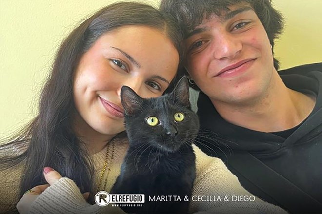 Rescatamos a 15 gatos abandonados.
