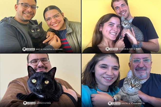 Rescatamos a 15 gatos abandonados.