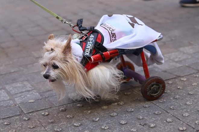 30 años a las espaldas.