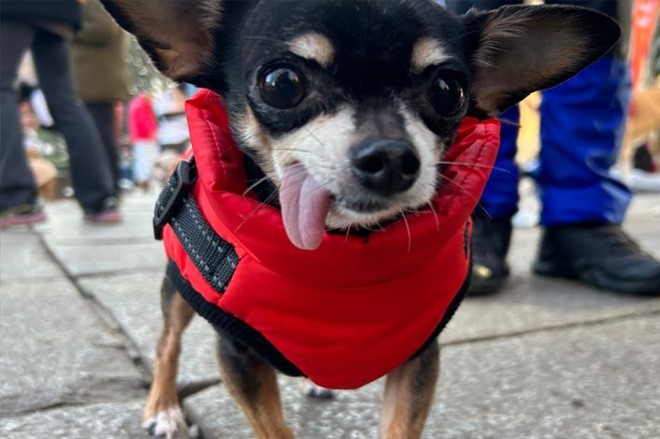 30 años a las espaldas.