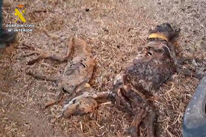 Una vez más, somos acusación.