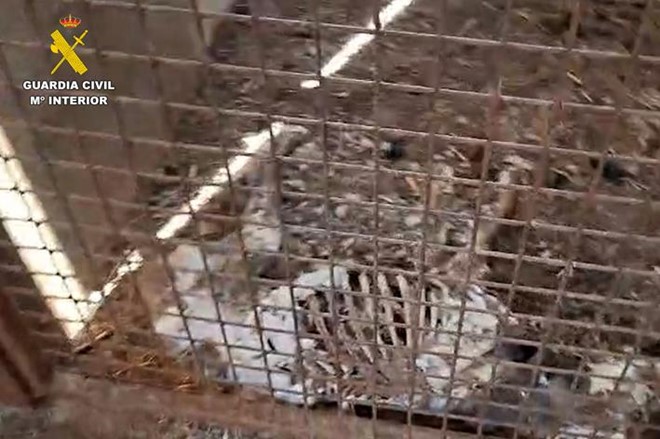 Una vez más, somos acusación.