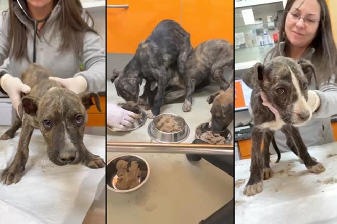 Que la vida te la devuelva.