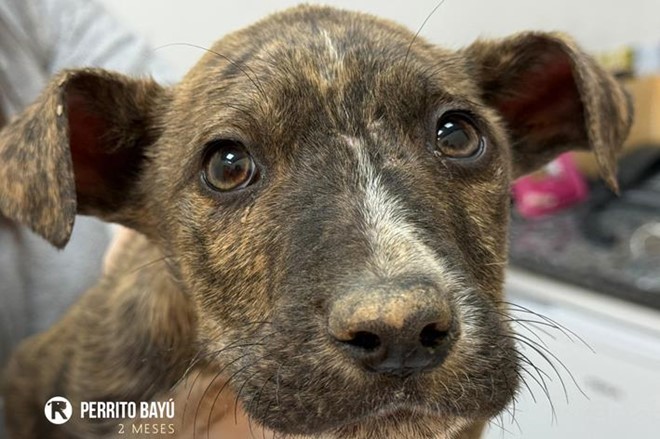 Que la vida te la devuelva.