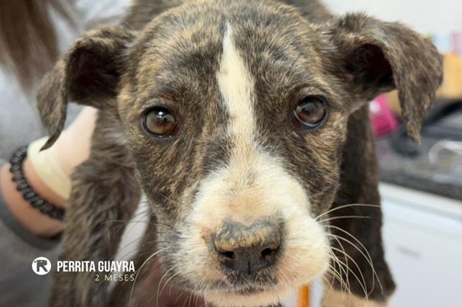 Que la vida te la devuelva.