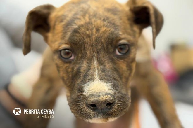 Que la vida te la devuelva.