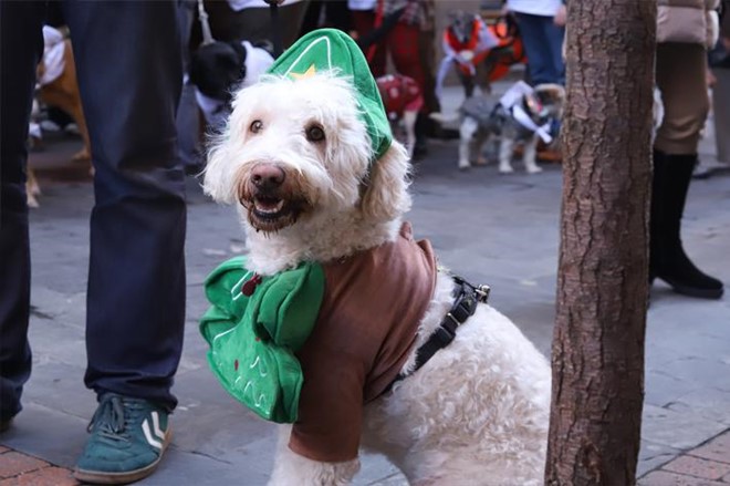 30 años a las espaldas.